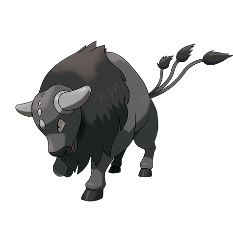 Tauros (Paldean Form, Combat Breed)